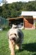 Thumbs/tn_Bild-01 045.jpg
